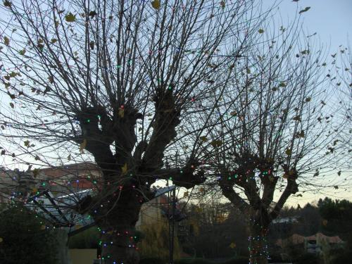 Wintersaison 2016/2017 35