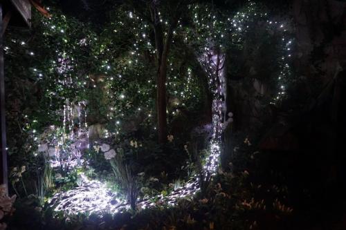 Wintersaison 2017/2018 25