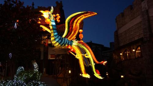 Wintersaison 2018/2019 13