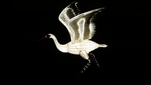 Wintersaison 2018/2019 14