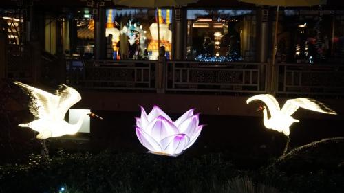 Wintersaison 2018/2019 15