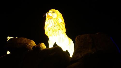 Wintersaison 2018/2019 18