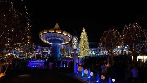 Wintersaison 2018/2019 19