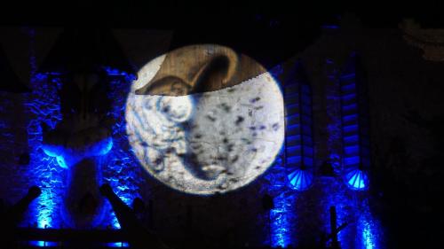 Wintersaison 2018/2019 23