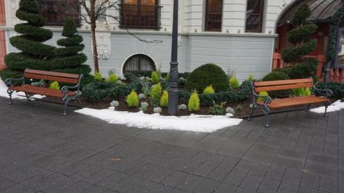 Wintersaison 2018/2019 24