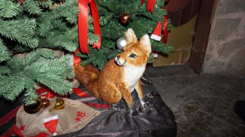 Wintersaison 2018/2019 34