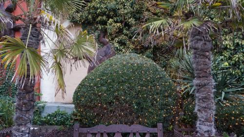 Wintersaison 2018/2019 35