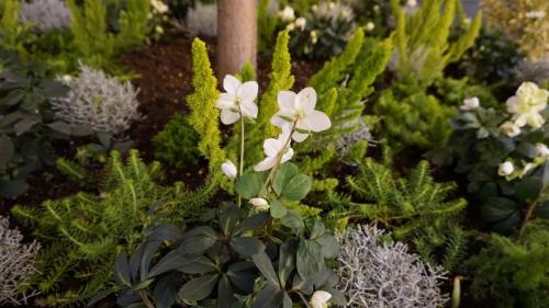 Wintersaison 2018/2019 44