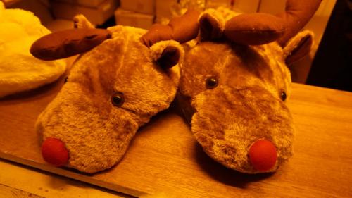 Wintersaison 2018/2019 45