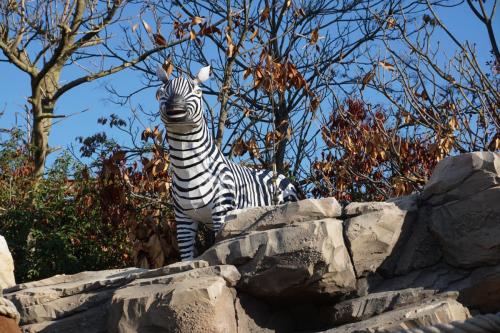 Wintersaison 2018/2019 5