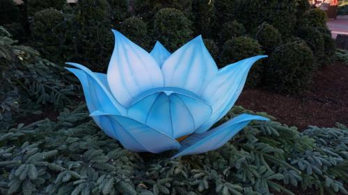 Wintersaison 2018/2019 8