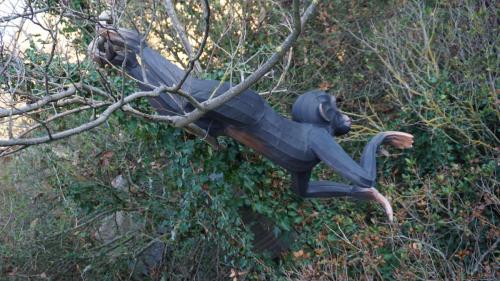 Wintersaison 2018/2019 9