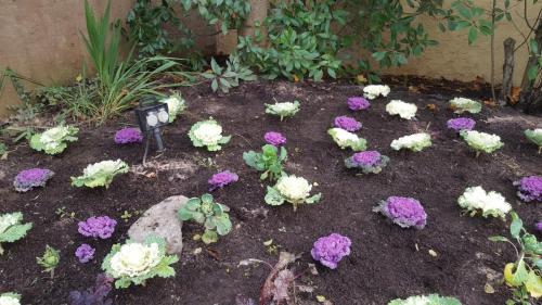 Wintersaison 2019/2020 2