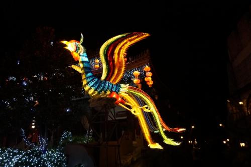 Wintersaison 2019/2020 20