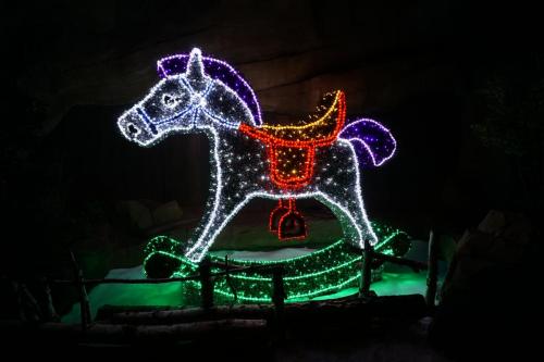 Wintersaison 2019/2020 21