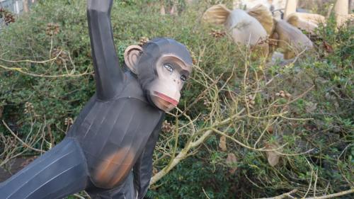 Wintersaison 2019/2020 25