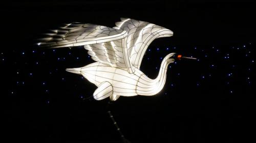 Wintersaison 2019/2020 28