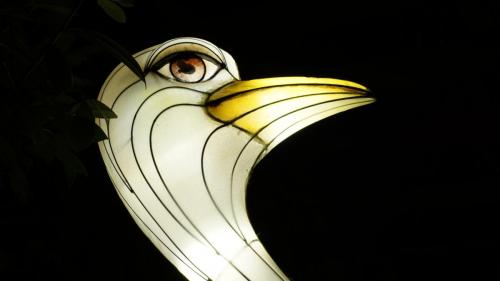 Wintersaison 2019/2020 29