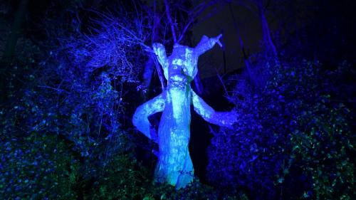 Wintersaison 2021/2022 10