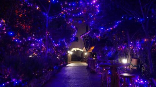 Wintersaison 2021/2022 16