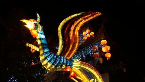 Wintersaison 2021/2022 19