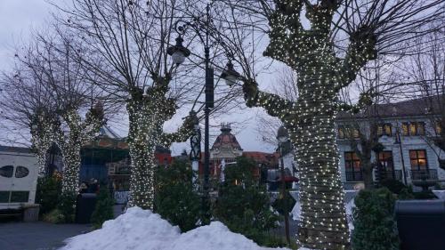 Wintersaison 2021/2022 5