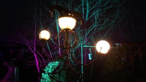 Wintersaison 2021/2022 9