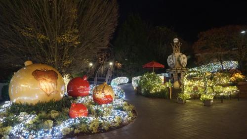 Wintersaison 2022/2023 37