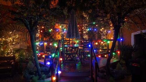 Wintersaison 2023/2024 11