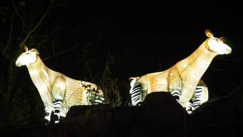 Wintersaison 2023/2024 16