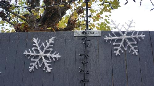 Wintersaison-2024/2025 23