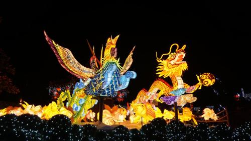 Wintersaison-2024/2025 28